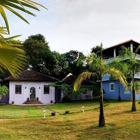 مادريم Avalon Inn المظهر الخارجي الصورة
