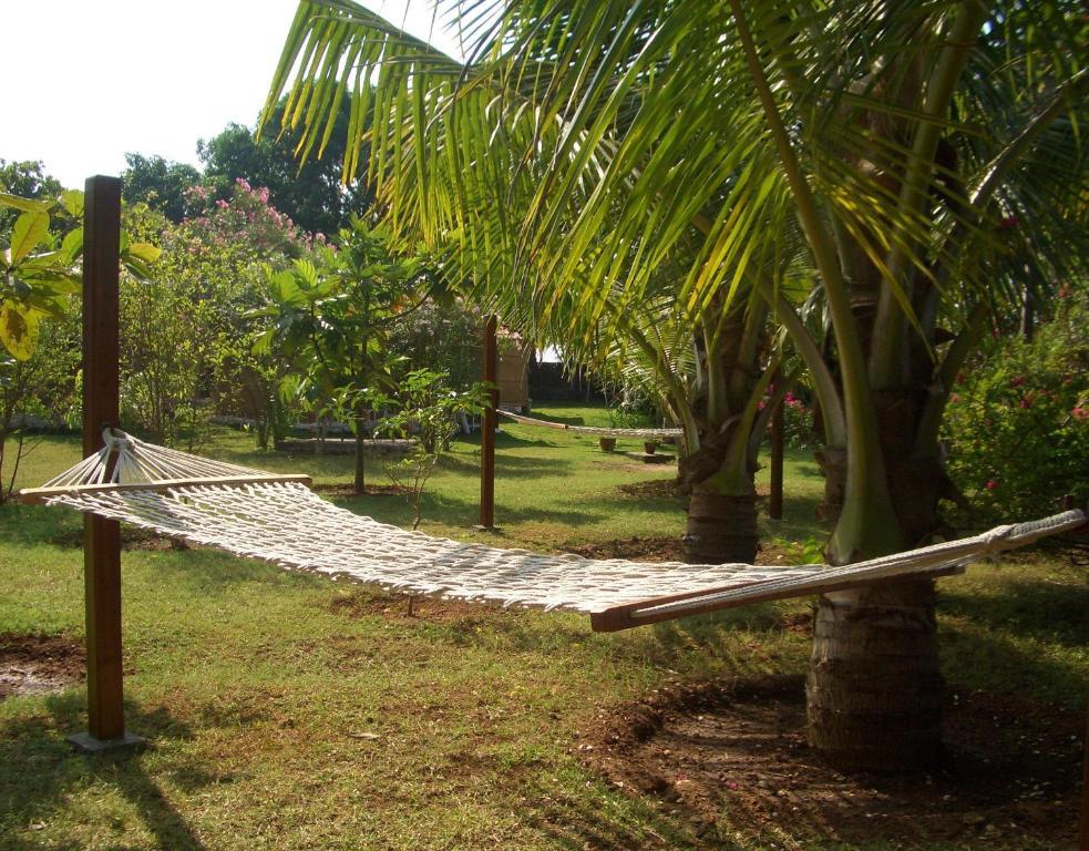 مادريم Avalon Inn المظهر الخارجي الصورة