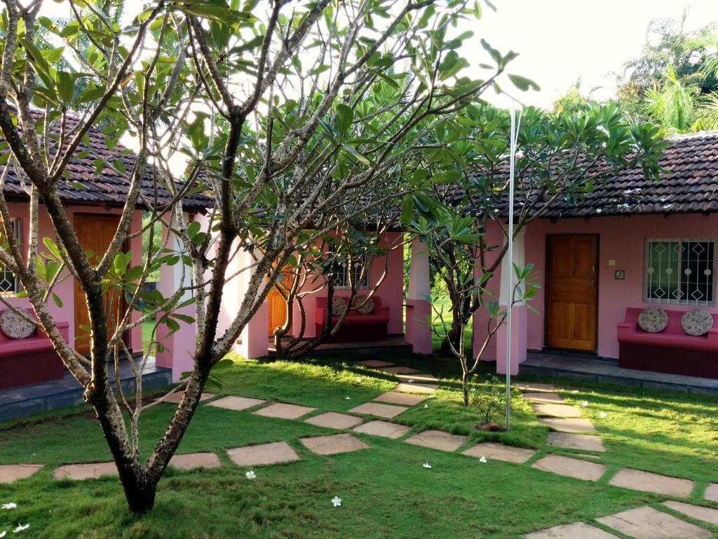 مادريم Avalon Inn المظهر الخارجي الصورة