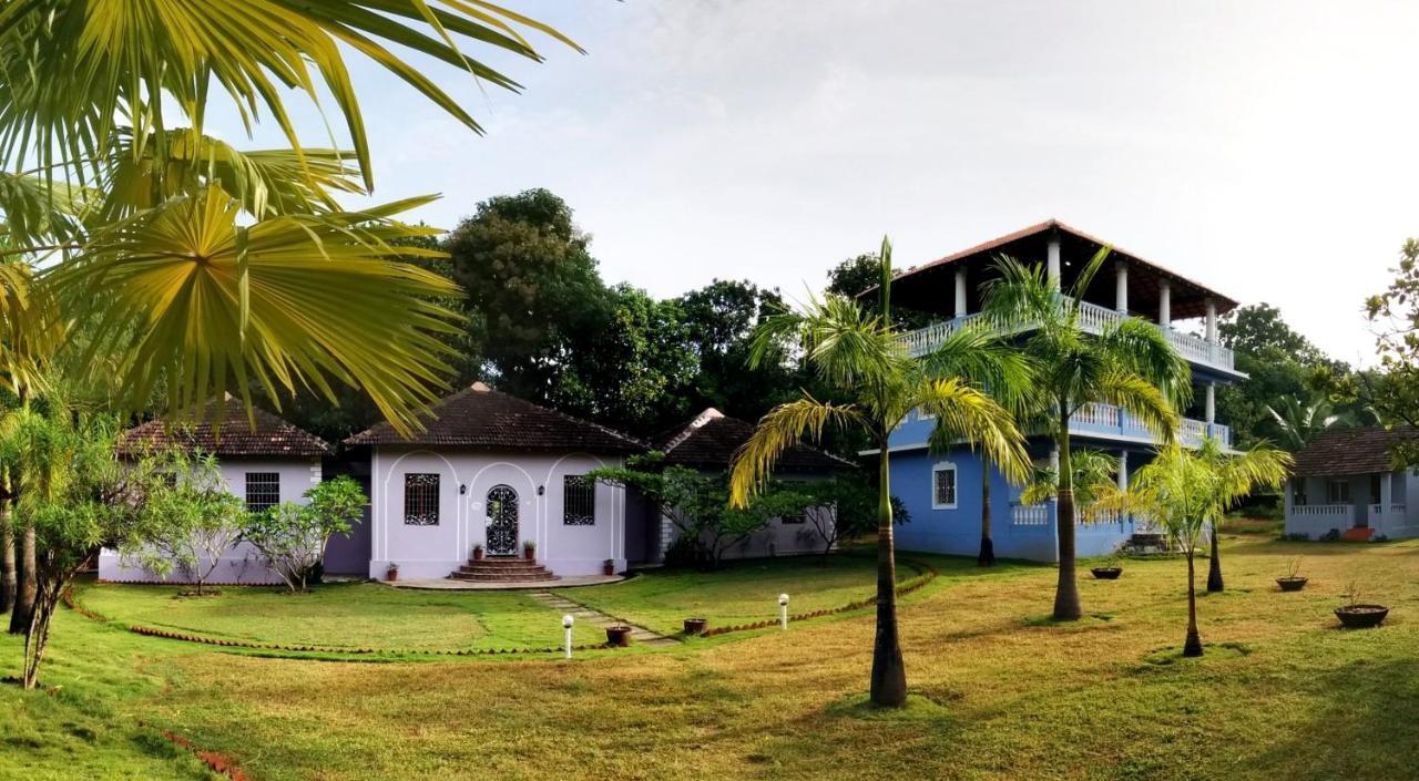 مادريم Avalon Inn المظهر الخارجي الصورة